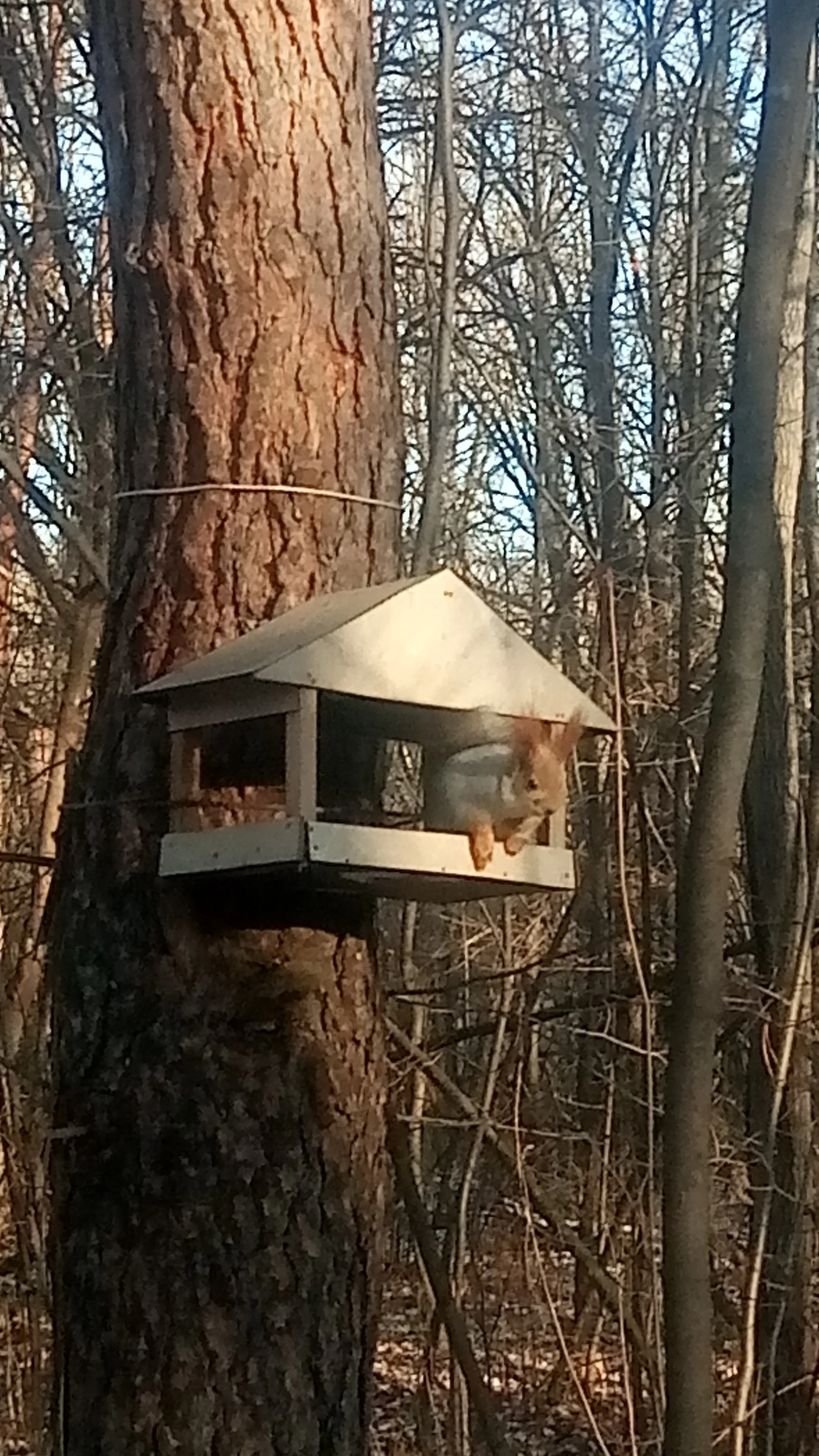 p91124-115323-jpg.1062483