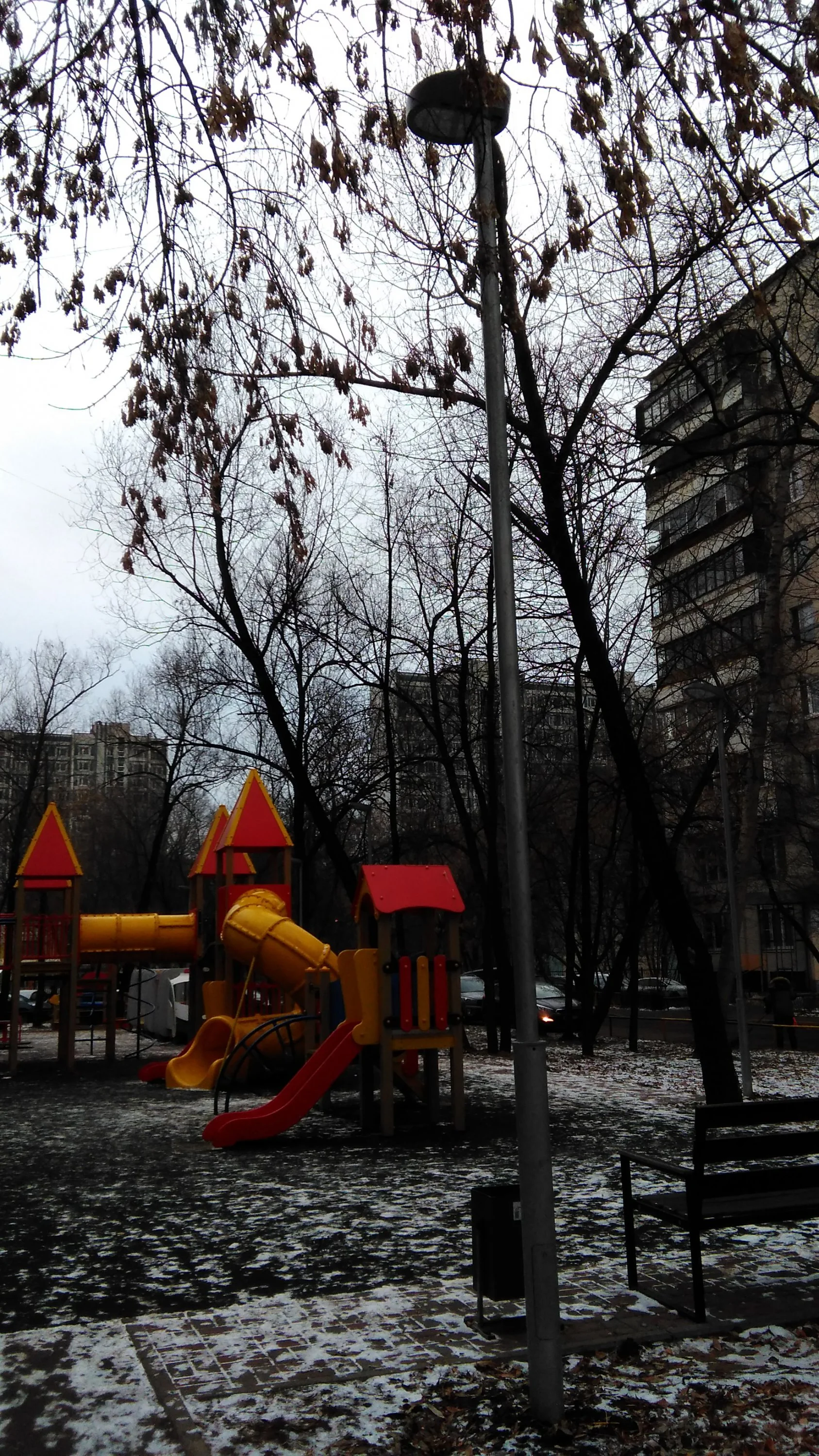 p_20181127_092107-jpg.759874