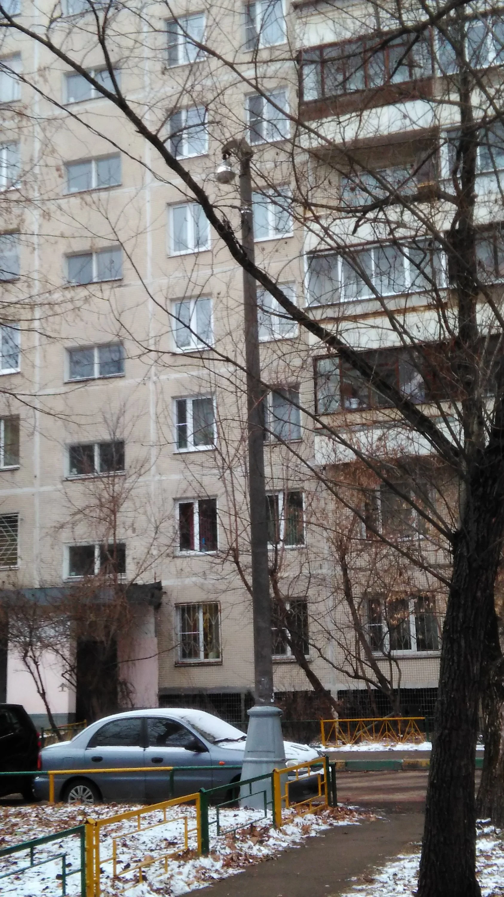 p_20181127_092226-jpg.759833