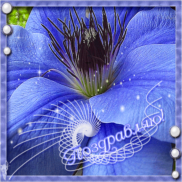 Гифки с днем алексея. Открытка блестящая. Открытка блестящая и очень красивые. Переливающиеся открытки. Поздравительные открытки сверкающие
