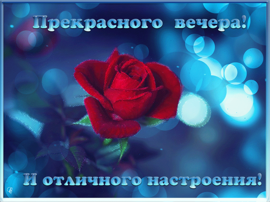 Замечательный вечер для лучших подруг