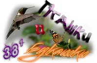 ptashki-i-bukashki01-png.1564930