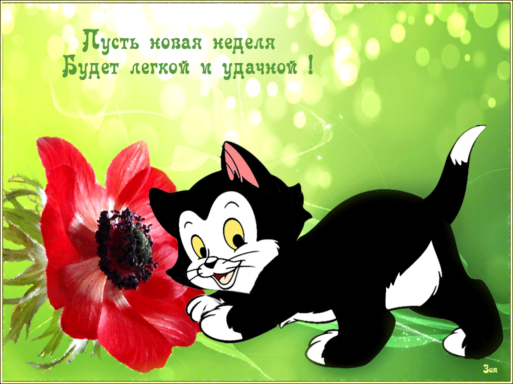 Легкий день