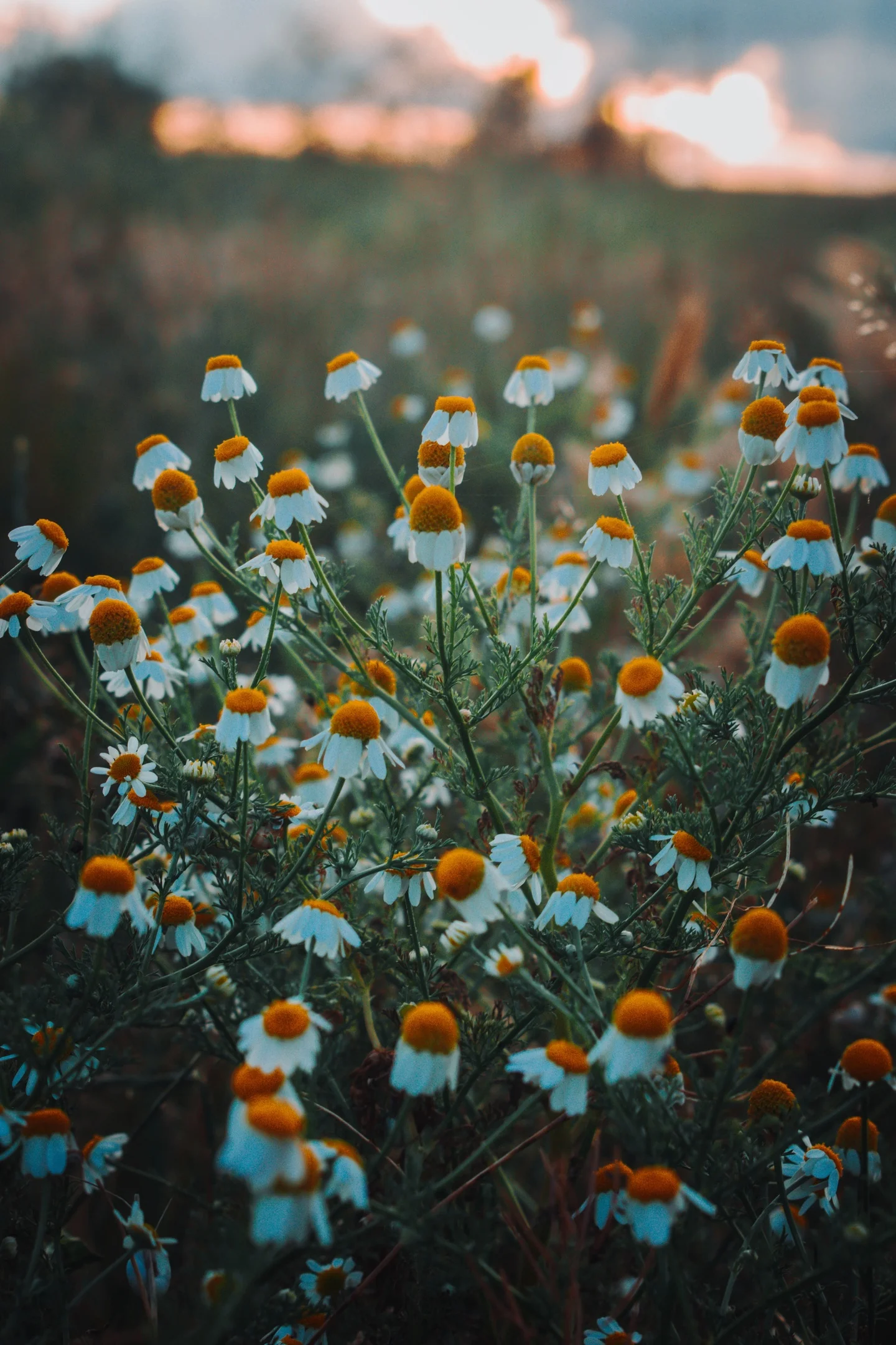 qhtxdl71tmw-jpg.1887192