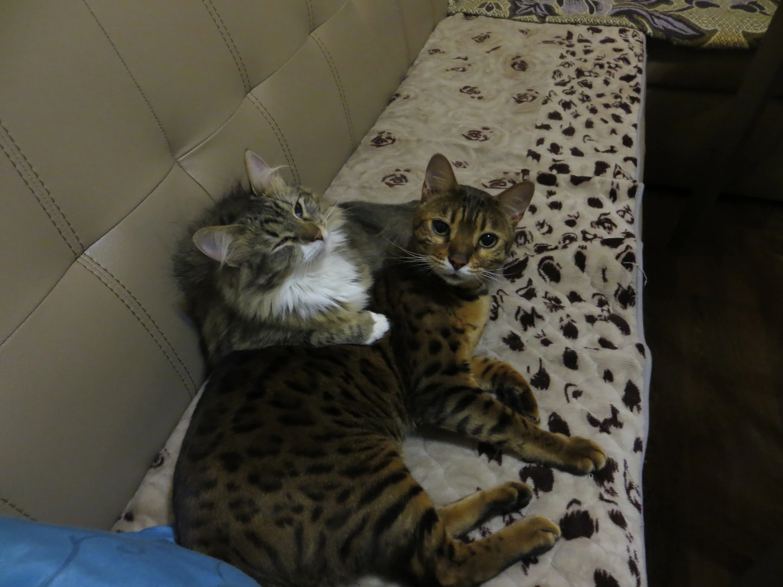 qj6ozeritb8-jpg.1070942