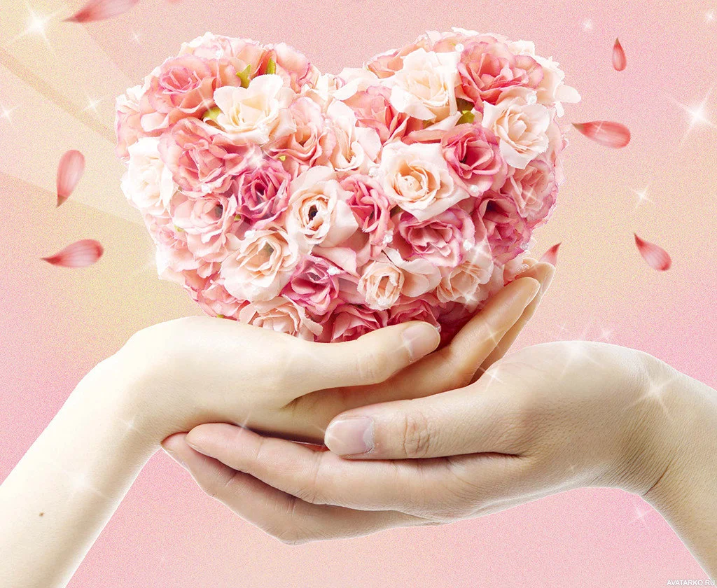rose-jpg.850852