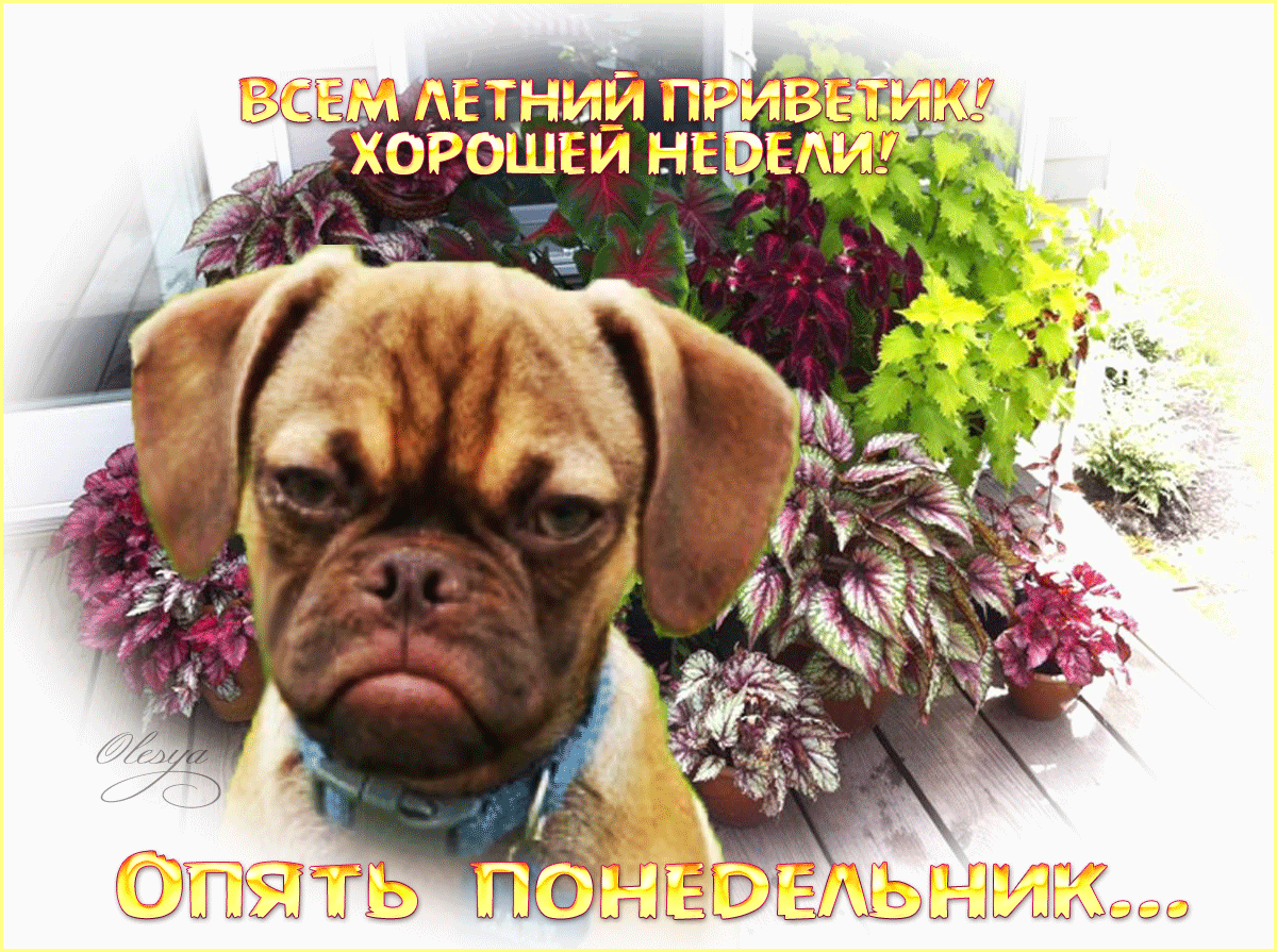 Легкого рабочего дня и хорошего настроения картинки красивые