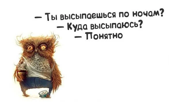 scale_1200-jpeg.1505772