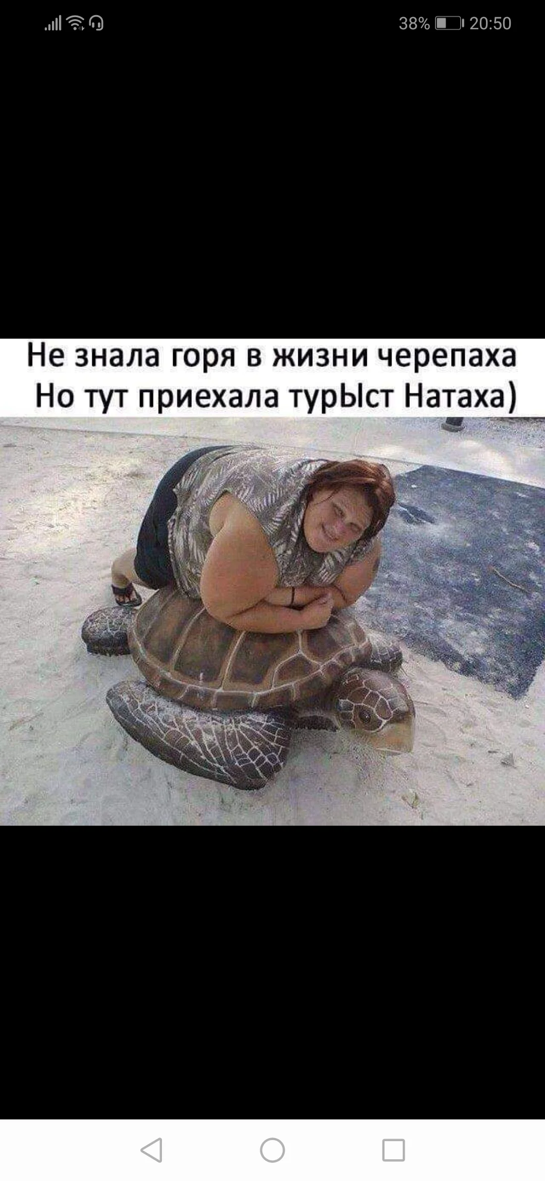 Не знала горя черепаха но тут приехала турист натаха