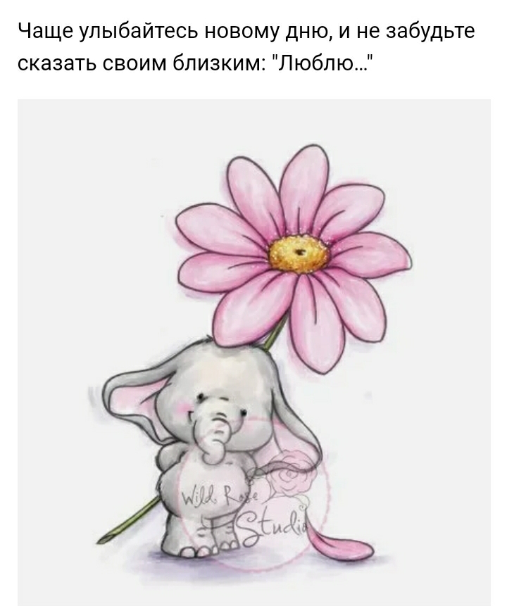 Screenshot_20200705-080154_Yandex.jpg