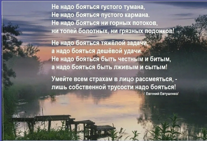 Screenshot_20200709-134212_Yandex.jpg