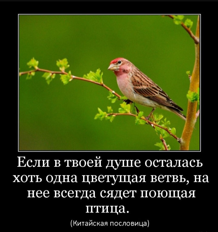 Screenshot_20200905-140234_Yandex.jpg