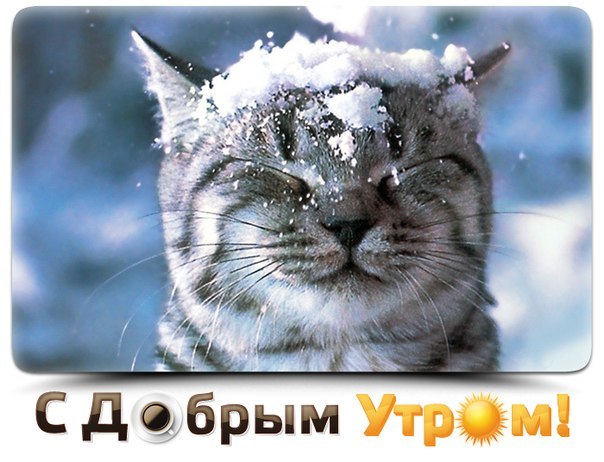 SDnem-rozhdeniya_ru-435.jpg