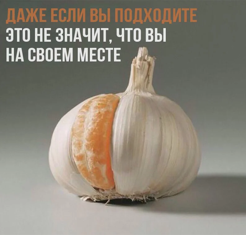 skf3eba4q6e-jpg.311009