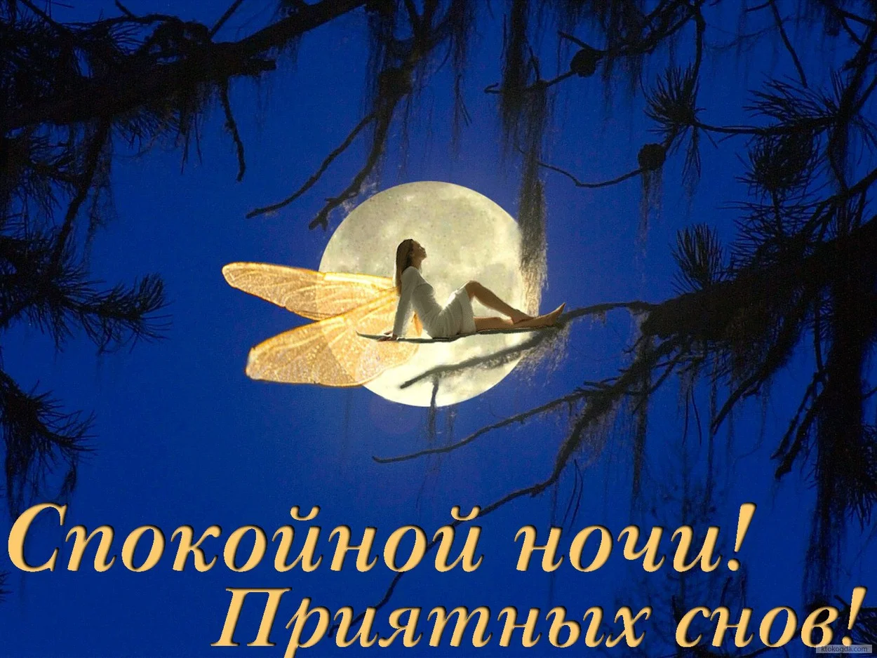 Сладких снов солдату. Спокойной ночи. Пожелания спокойной ночи. Спокойной ночи приятных снов. Доброй ночи солнышко
