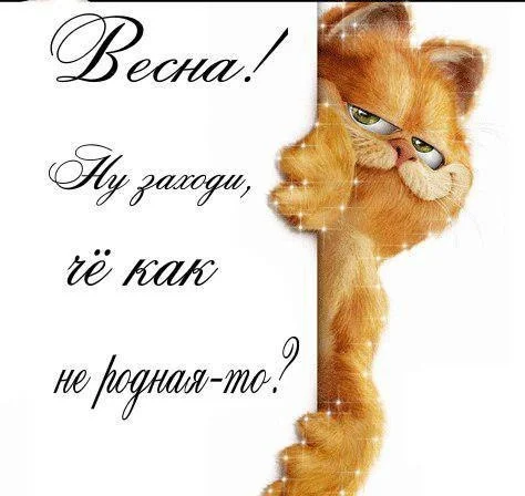 http://ne-kurim.ru/forum/attachments/swu_xub915w-jpg.156568/