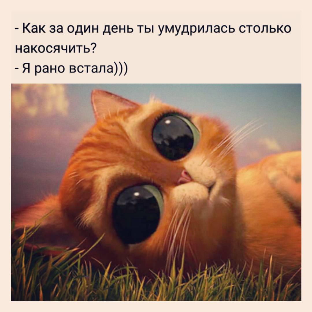 Некоторые умудряются