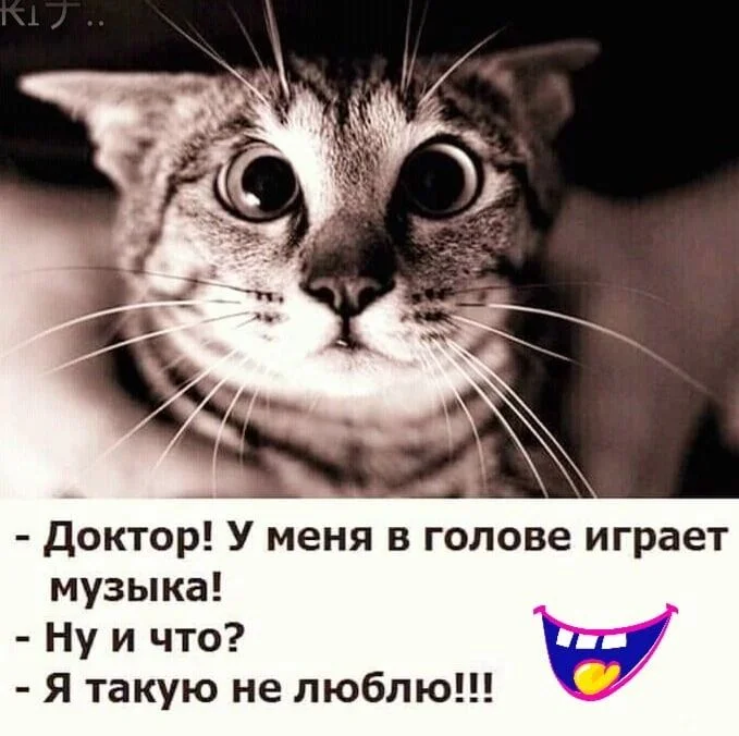 постоянно играет музыка в голове что делать. постоянно играет музыка в голове что делать. болит затылок и закладывает уши. причины возникновения шума в ушах. музыкальный мозг.