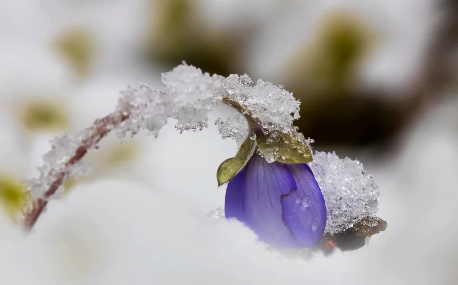 upload_2017-4-14_12-5-6-png.376720