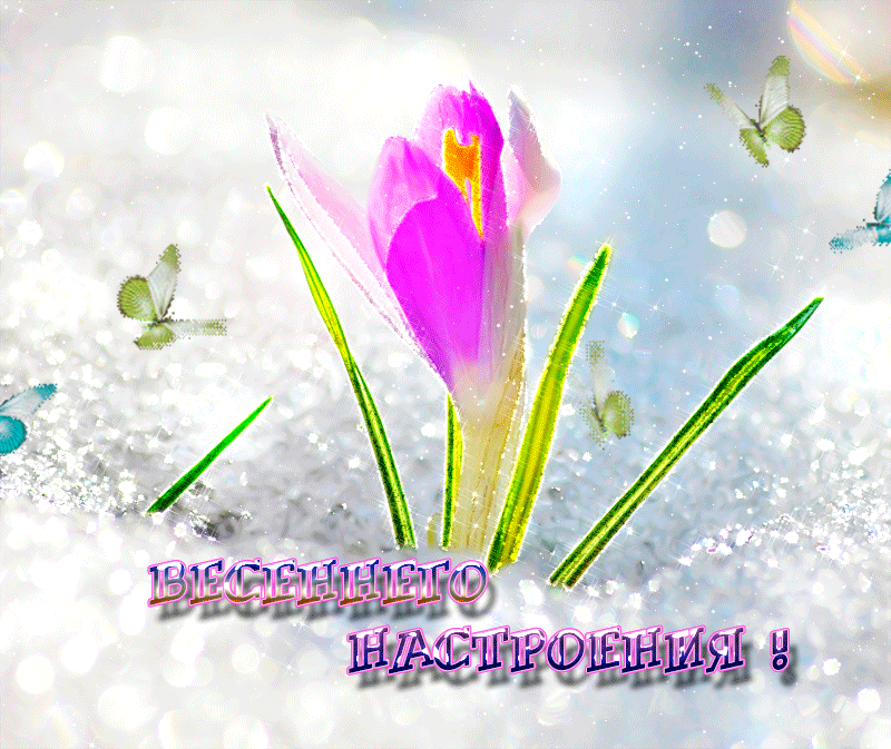 праздничного весеннего настроения. хорошего весеннего настроения.