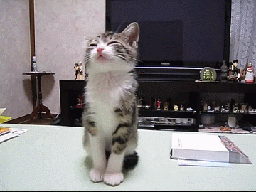 vgif-ru-17730-gif.436479