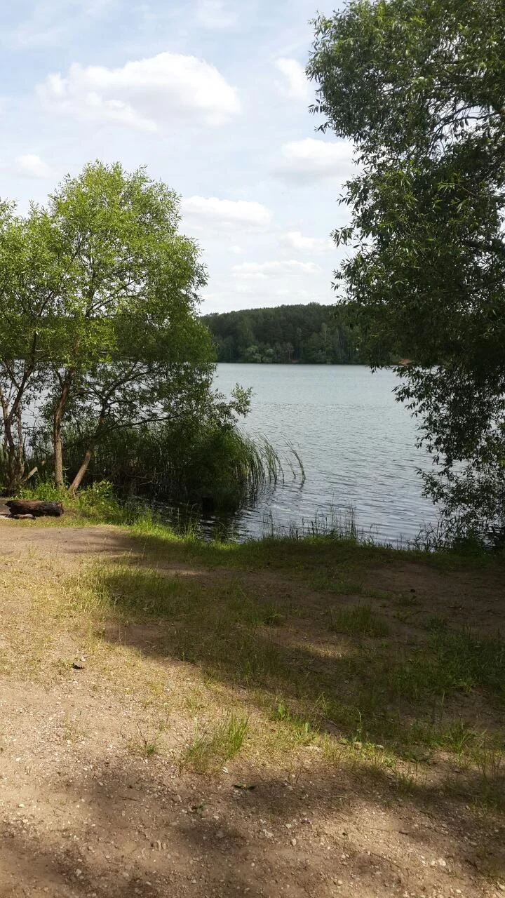 viber-image-jpg.198635