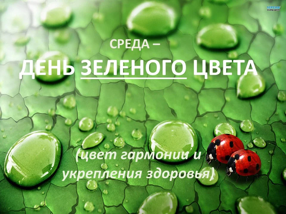 Зеленый день