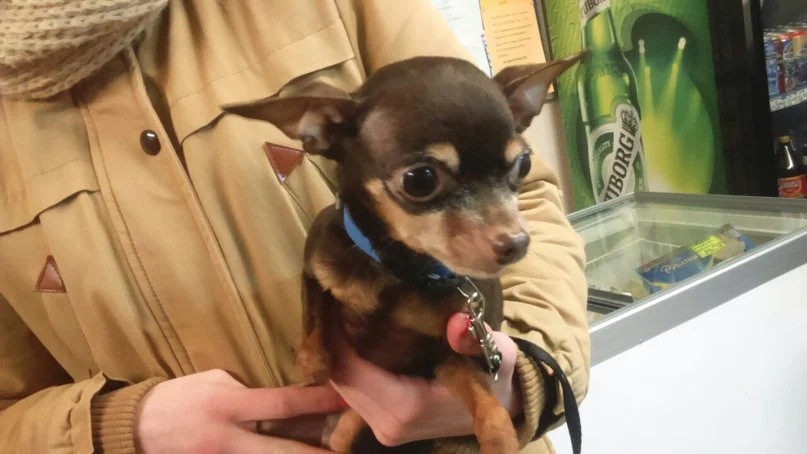 wf4p3_q4frs-jpg.144251