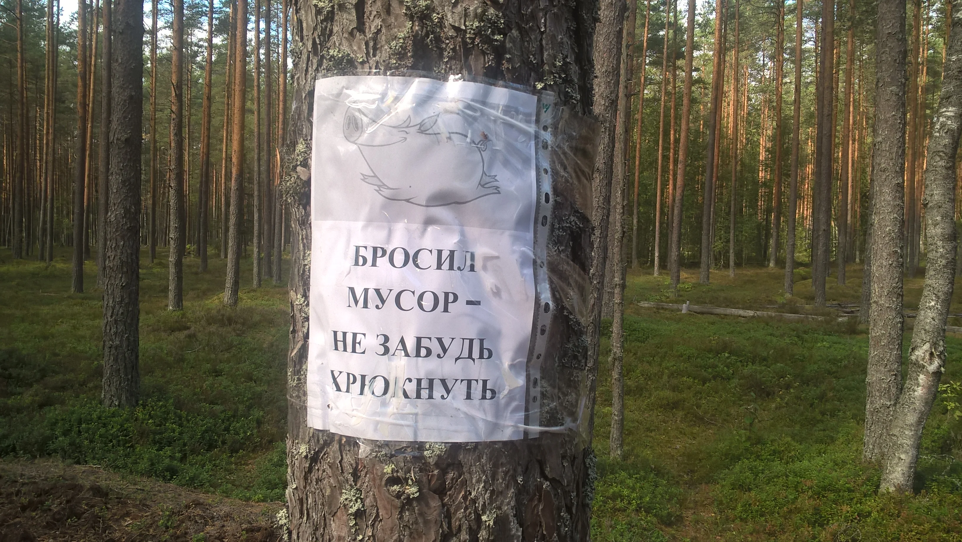 wp_20180816_14_22_20_pro-jpg.680226