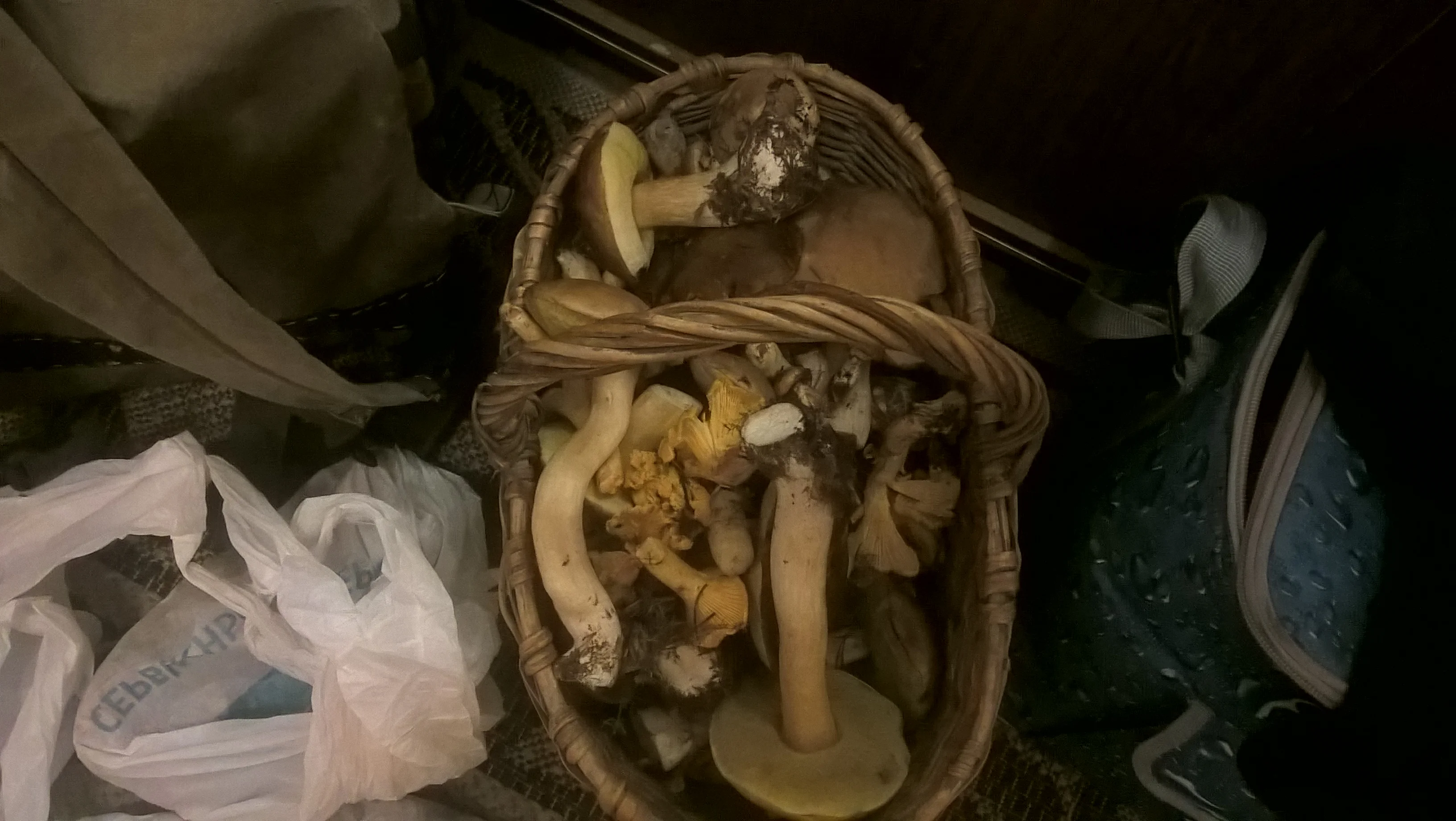 wp_20180908_14_44_57_pro-jpg.695604