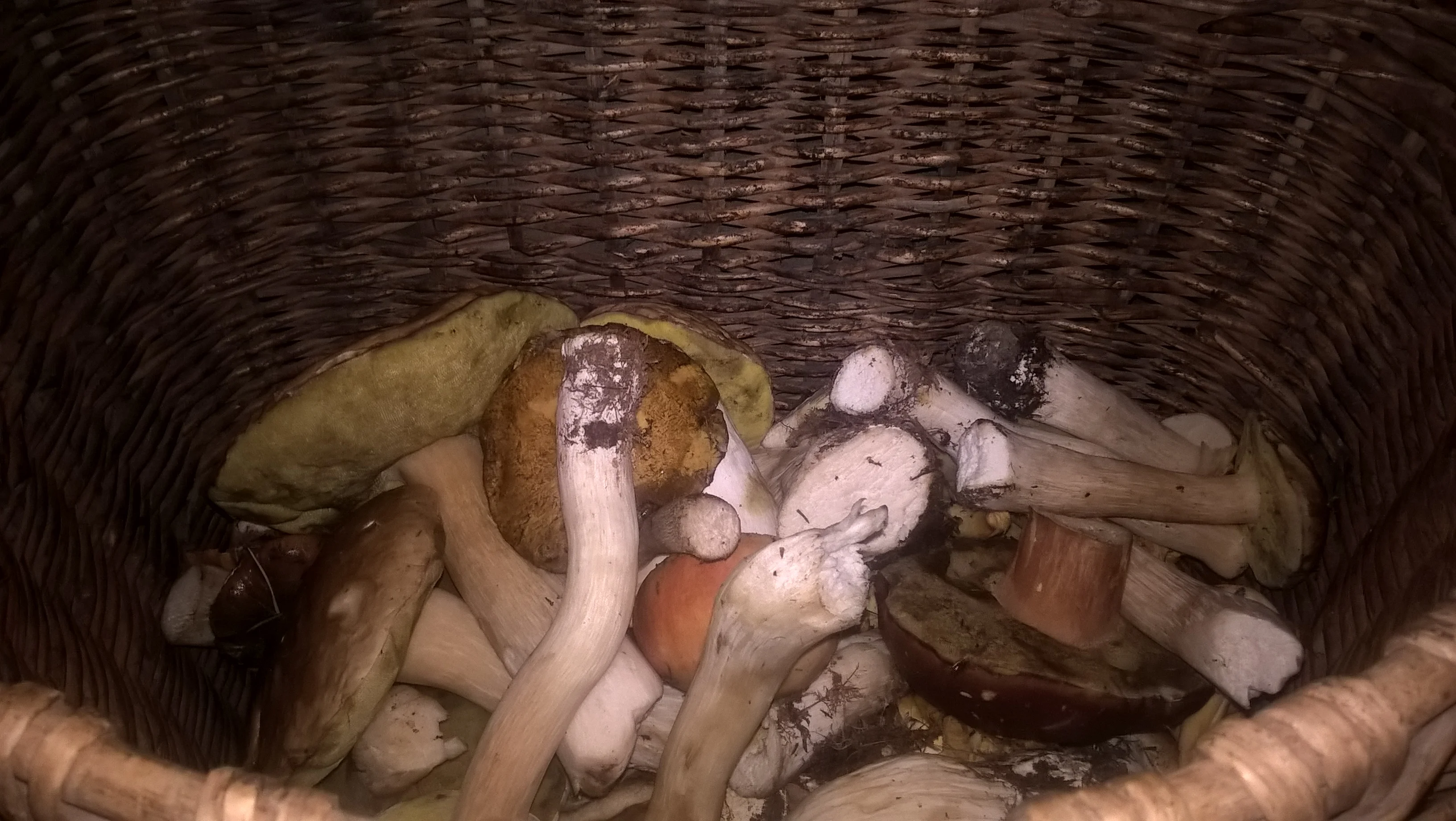 wp_20180908_14_45_17_pro-jpg.695605