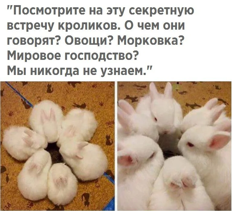 xwh3w49n8gq-jpg.542347