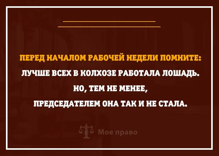 Лучше всех в колхозе работала лошадь но председателем так и не стала картинка