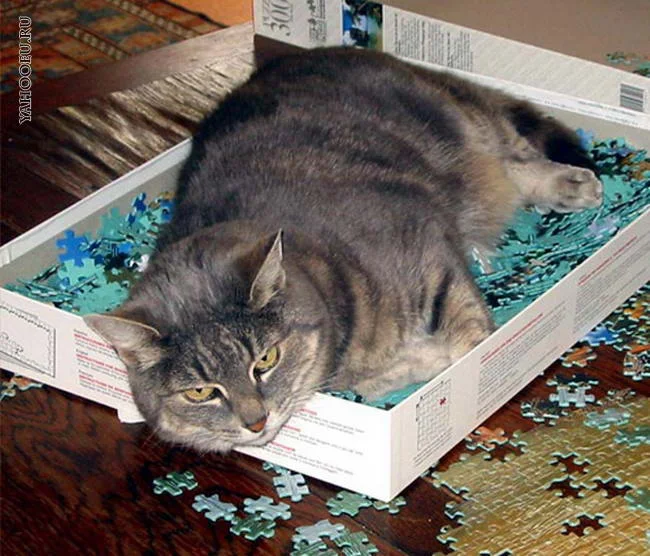 котодерево пазл деревянный. буська кукуська. пазл котенок для детей. котопазл. кото пазл.