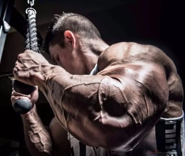 yielvir44ug-jpg.373227