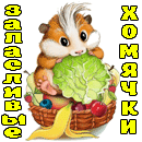 zx4-png.1954133