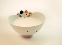 smileonsunday-animalpaws-bowl-milk-Kitty-cat-7dwf-fauna-paws-1070049.jpg