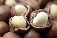 macadamia-nuts-big.jpg