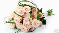 delicate-bouquet-of-rose-1024x576.jpg