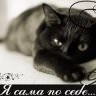 ЧернаЯ Кошка