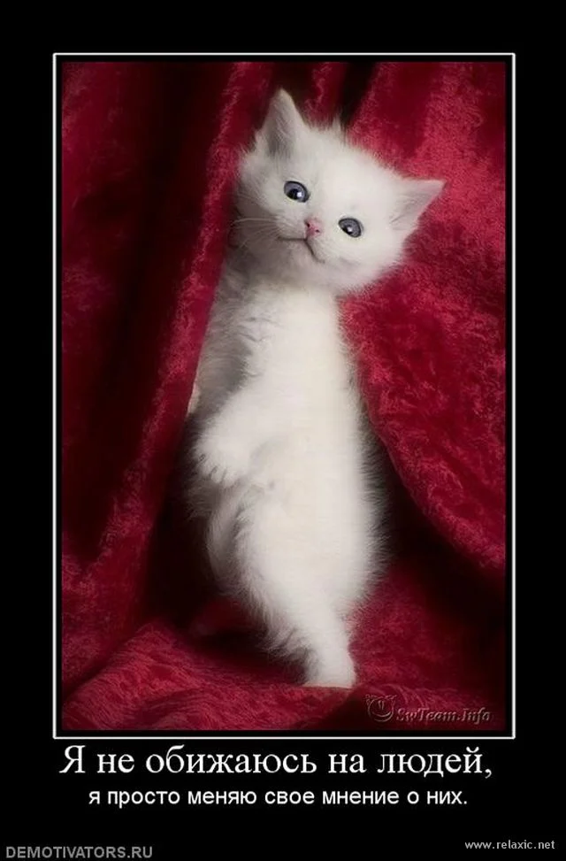 Статусы про обиду смешные. Очень обидела. Ты меня обидел. Обидеть женщину легко. Ты меня обидел.