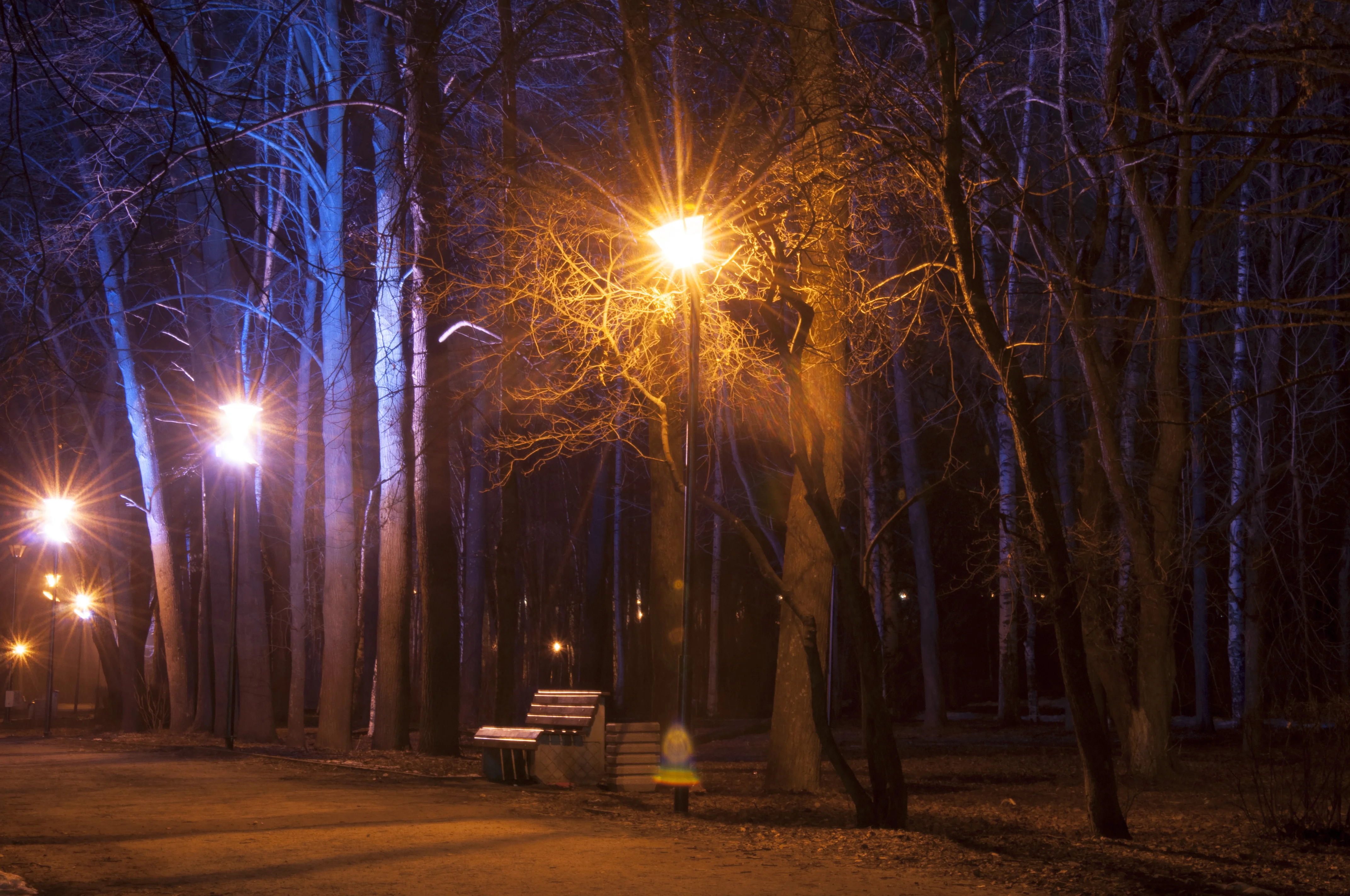 побудительное предложение про осень. осенний вечер. сказуемое в побудительном предложении. осень ночь. темный лес.