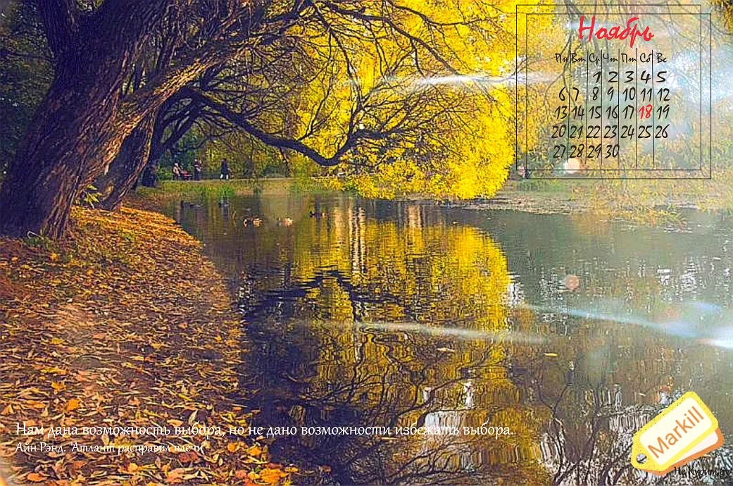 18 ноября