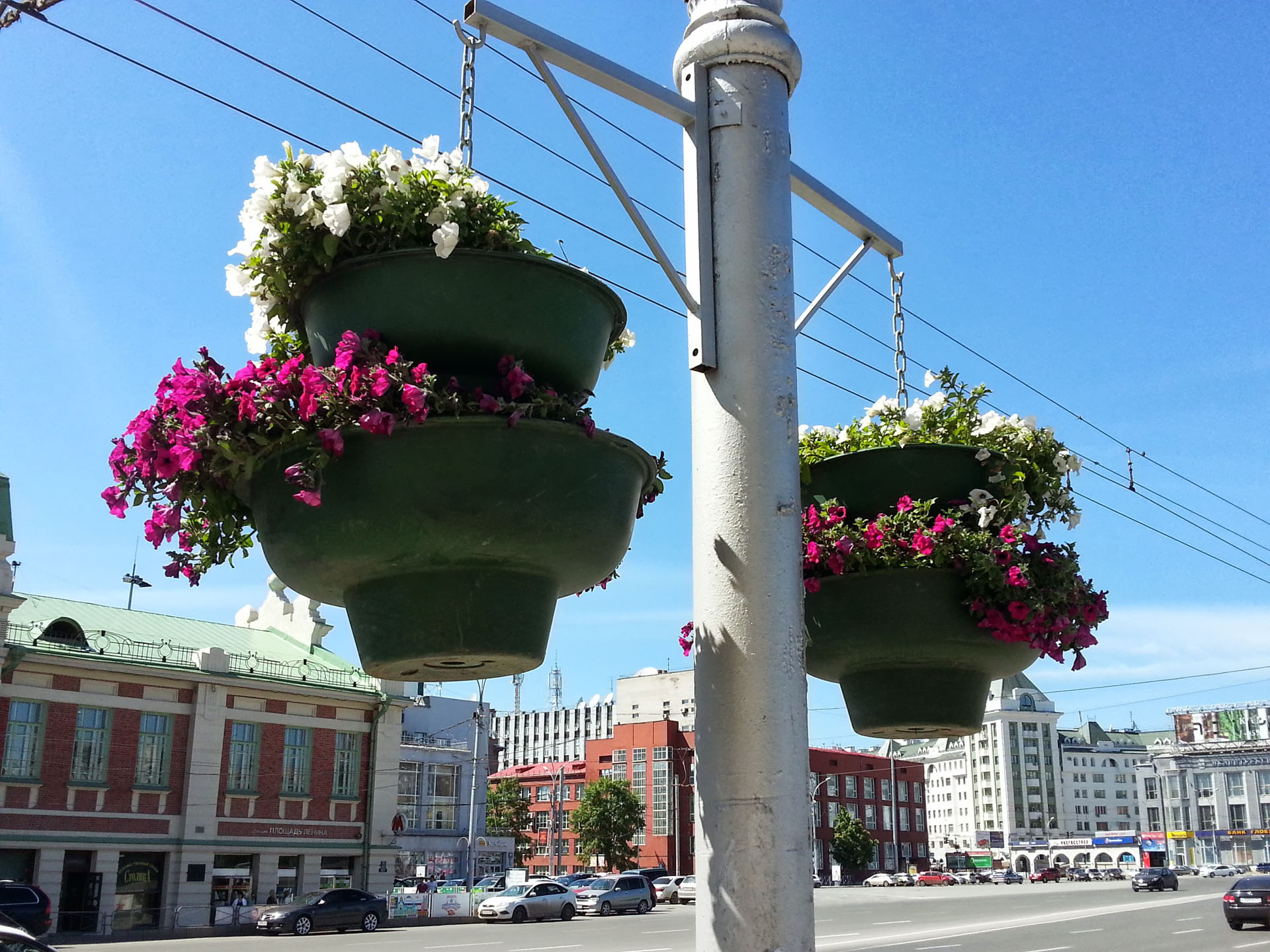 20130623_152031.jpg