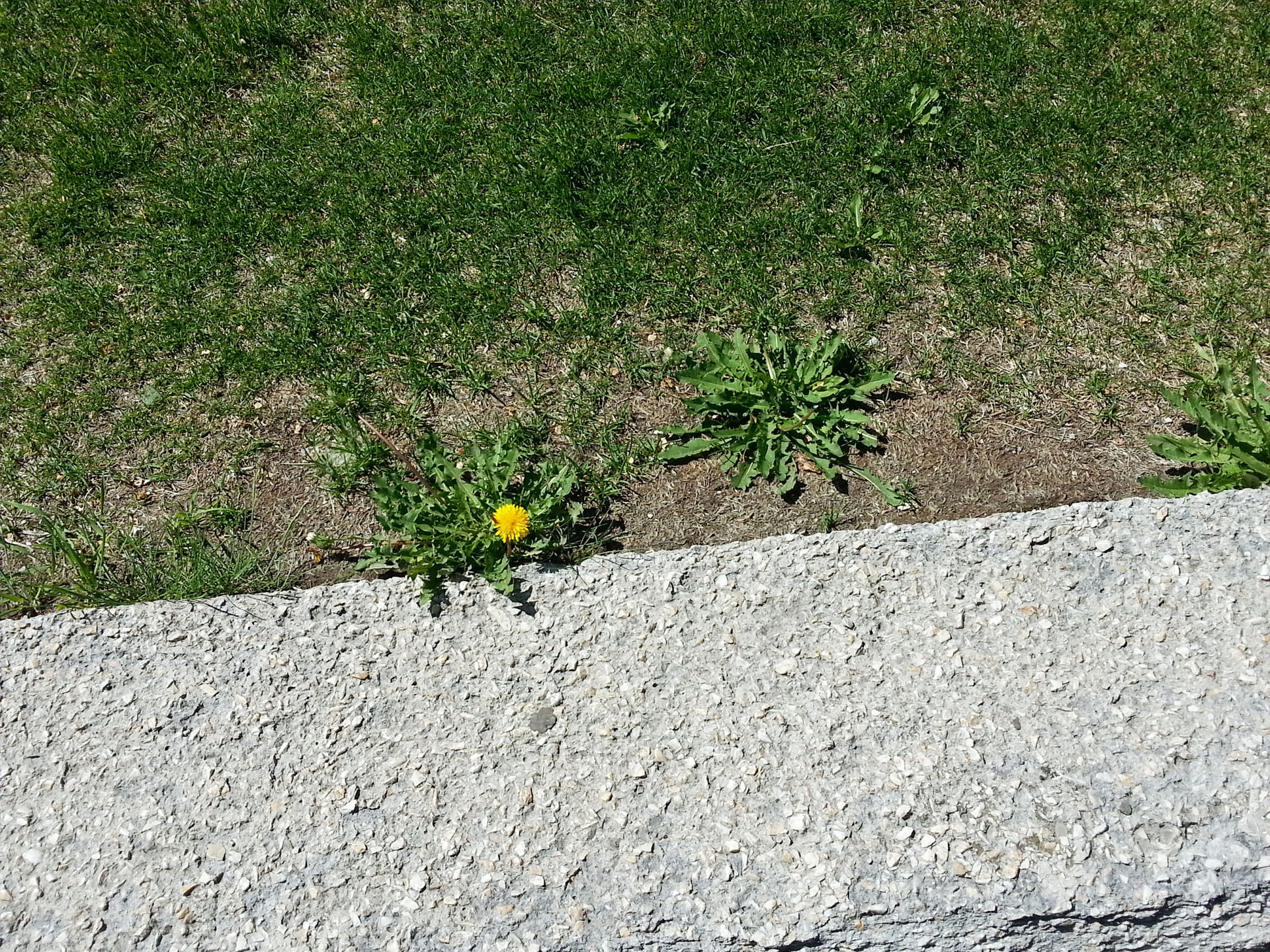 20130623_152243.jpg