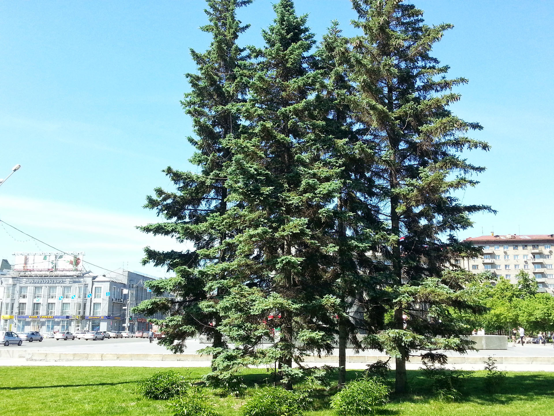 20130623_152253.jpg