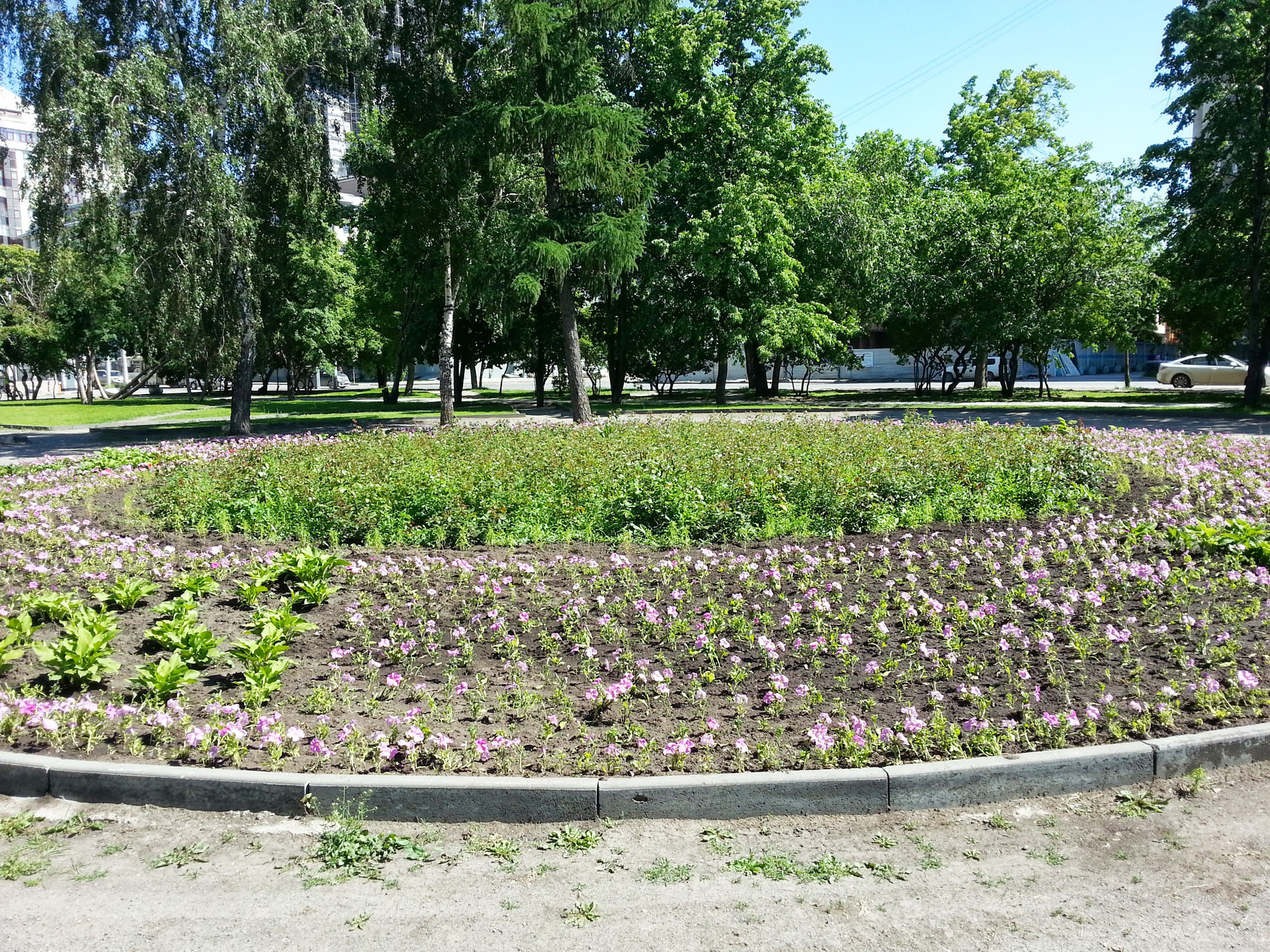 20130623_153230.jpg