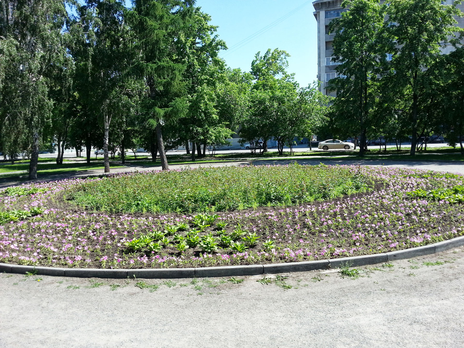 20130623_153246.jpg