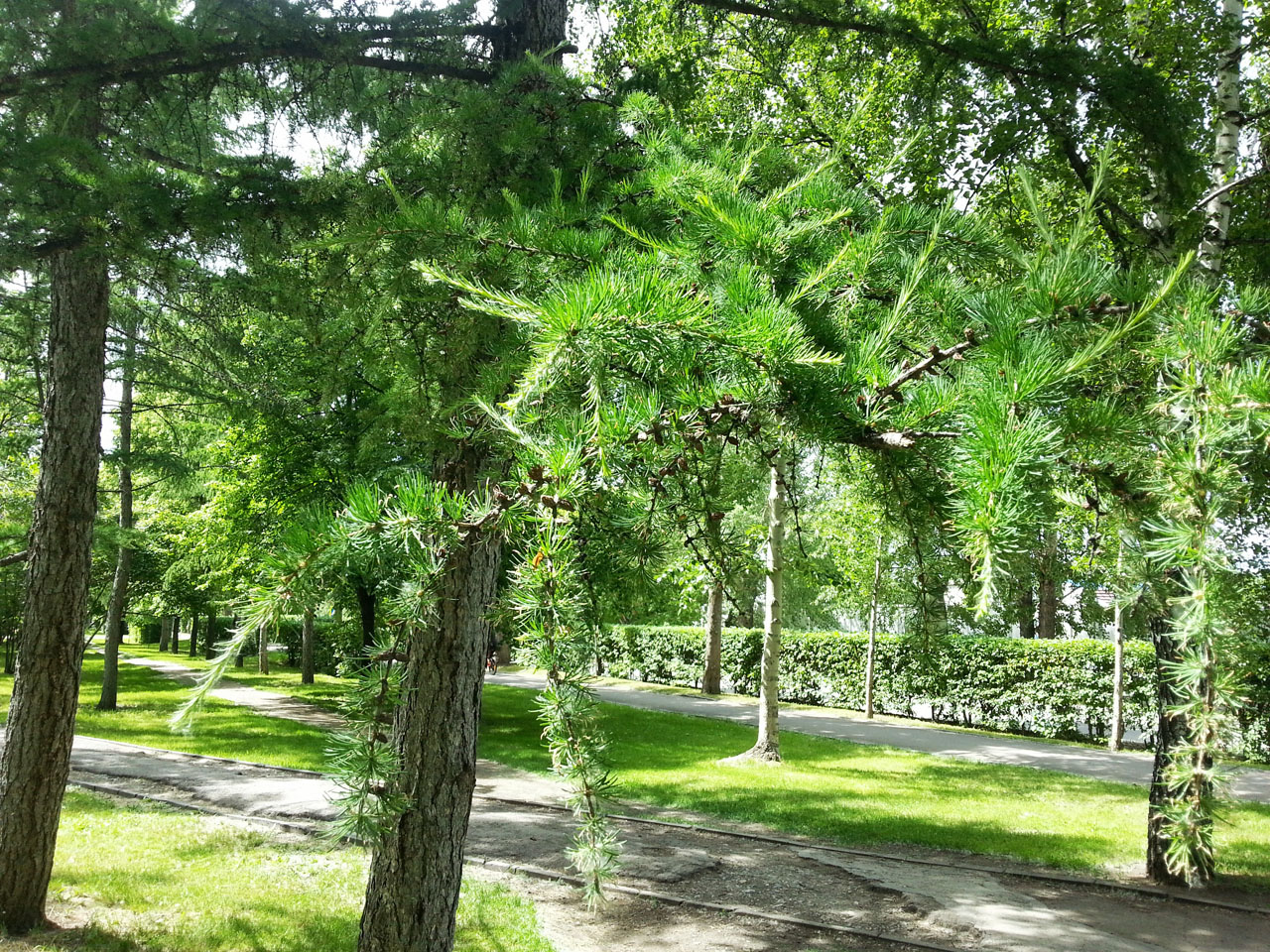 20130630_151113.jpg