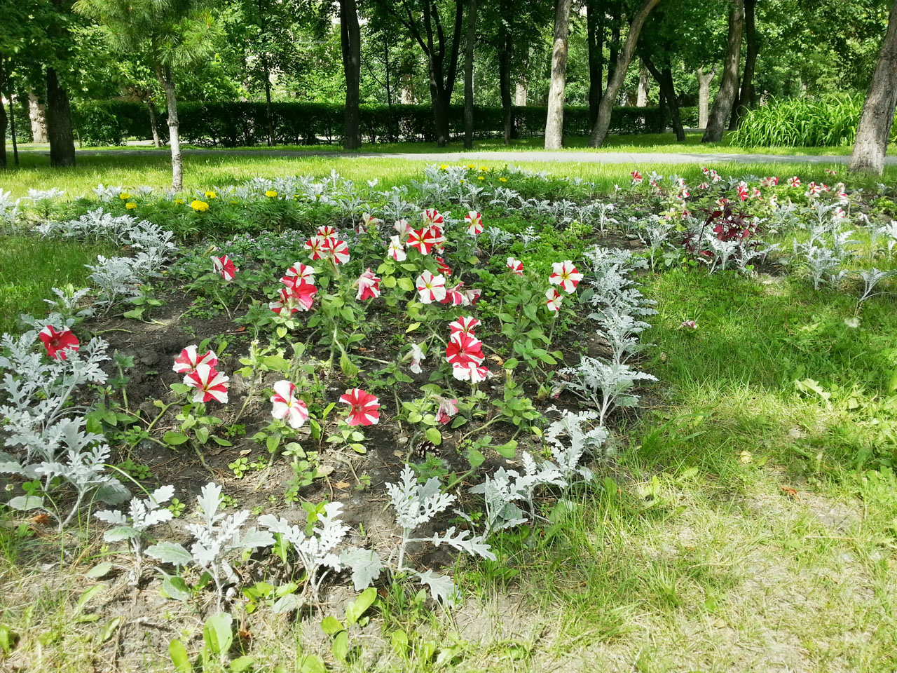 20130630_154055_HDR.jpg